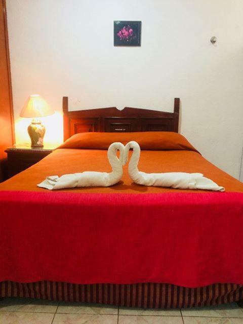 Hotel Maria'S Nicte Ha Прогресо Екстериор снимка